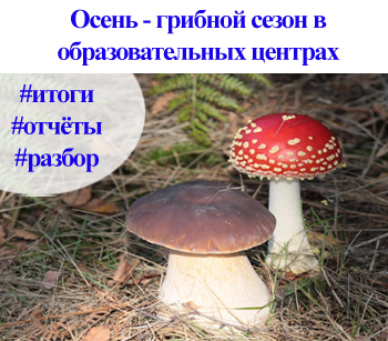 набор групп английского языка